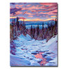 Trademark Fine Art David Lloyd Glover 'Winter Solstice' Canvas Art, 18x24 DLG0116-C1824GG